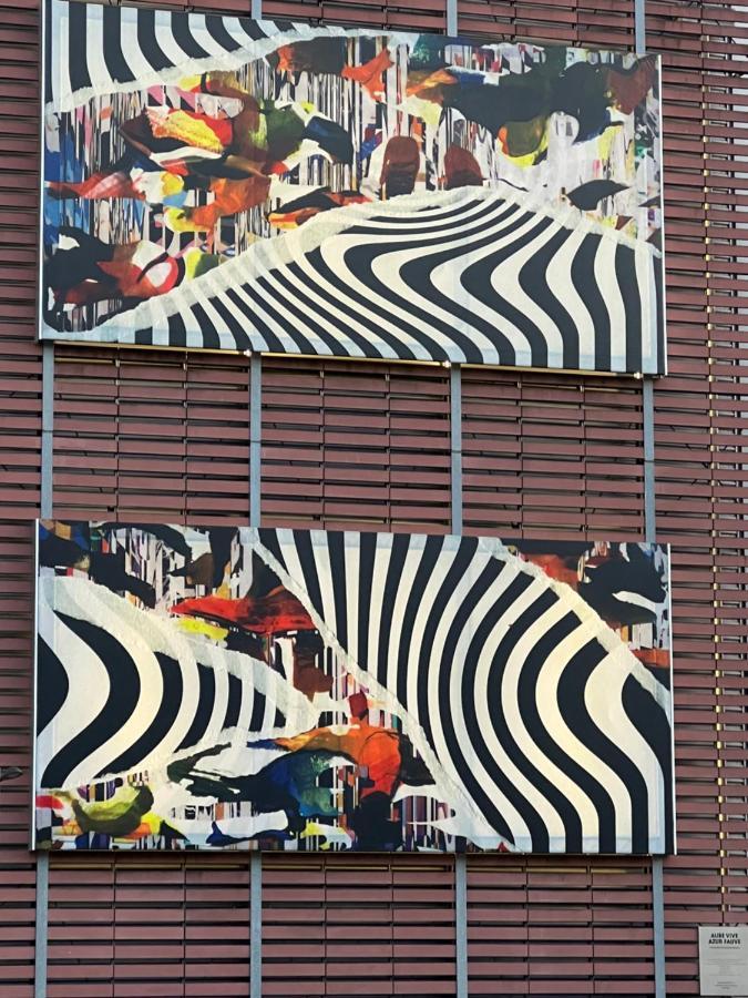 Mandana Apartment Strasbourg